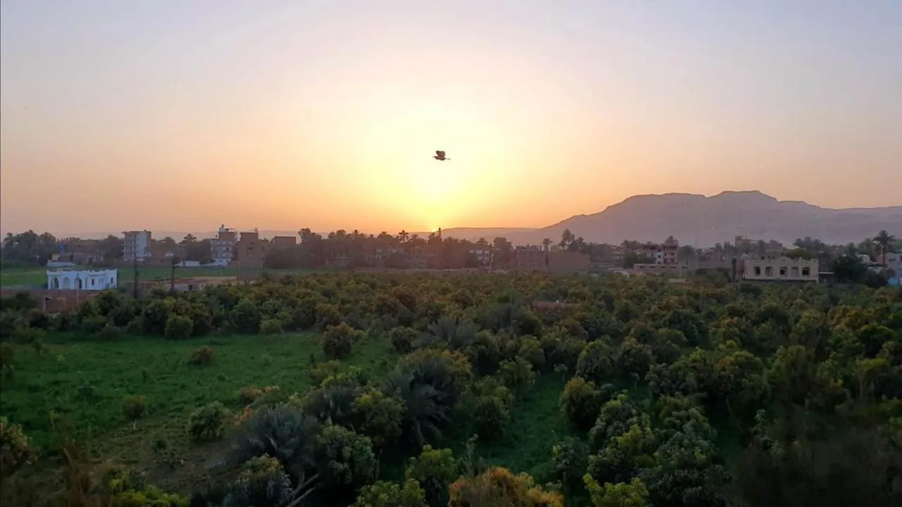Embrace Hotel Luxor